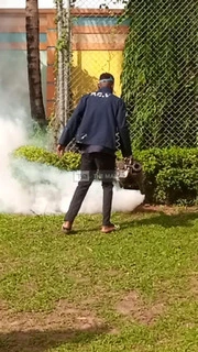 Expert Fumigation - 3