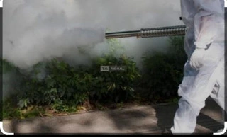 Professional Fumigation Service