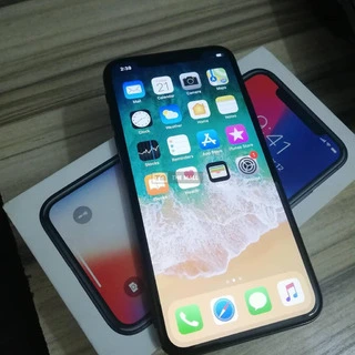 iPhone X