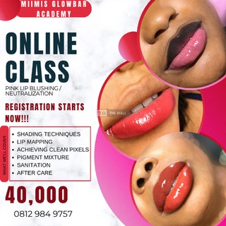 Lip Blushing - Online Class