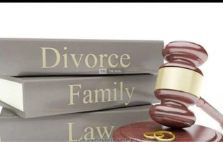 Divorce, Child Custody and Adoption