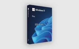 Windows 11 Pro 1PC OEM