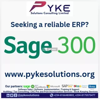 Business Software and ERP Service