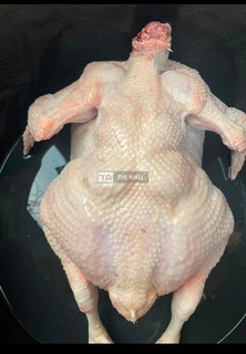 Matured Chicken - 2