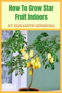 Star Fruit Trees for Sale