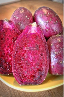 Red Cactus Pear Plant (Pads) for Sale - 2