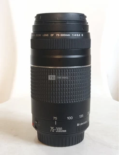 A Clean CANON 75-300mm Lens