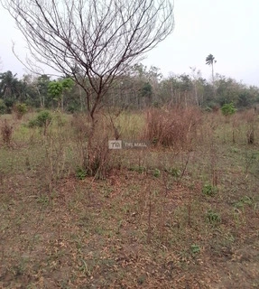 1Plot and 2Plots of Land for Sale - 2