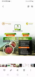 The Most Affordable Plot in Ketu