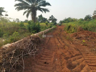 Land for Sale at Benin (with C of O)