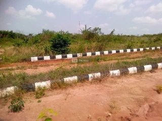 Suitable Plots Of Land In Shimawa - 2