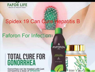 Faforon Spidex 19 For Chronic Infections