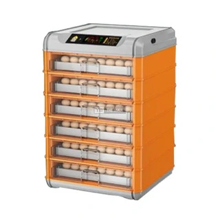 484 Eggs Incubators