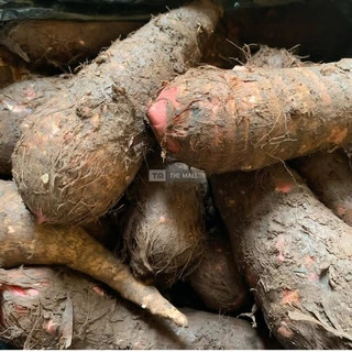 White Benue Yams for Sale