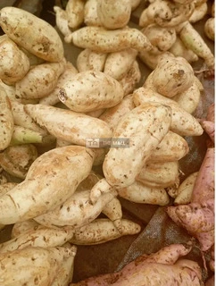 White Benue Yams for Sale - 2