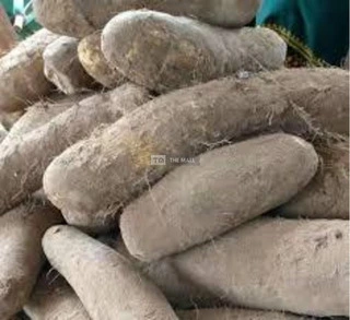 White Benue Yams for Sale - 4