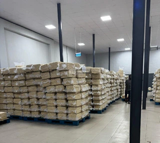 Fresh Cashew Kernels Direct from Source - 2