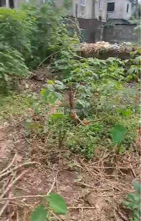 2 And Half Plots Of Land