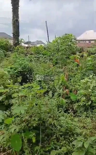 2 And Half Plots Of Land - 2