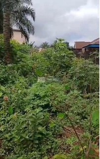 2 And Half Plots Of Land - 4