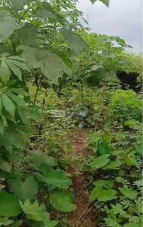 2 And Half Plots Of Land - 5