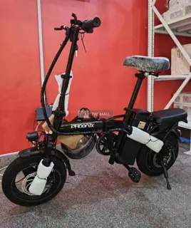 Foldable Electric Bike - 2