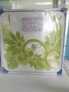 Bathroom scale