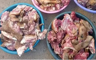 Cow/Goat Meat - 3