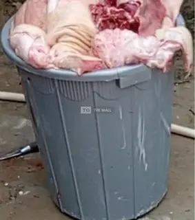 Cow/Goat Meat - 4