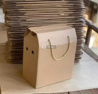 Manufacturing of Corrugated Carton Boxes - 2