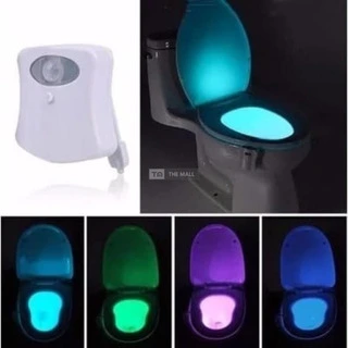 Toilet Bowl Light