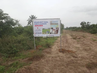 Land & Plots available for Sale - 4