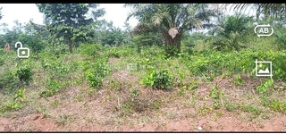 Estate Plot for Sale