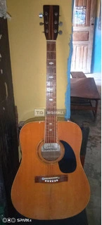 Acoustic (Box) Guitar - 3