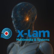 X-lam Multimedia And Systems