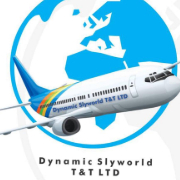 Dynamic Slyworld Tours Ltd